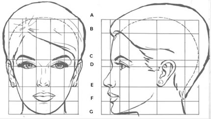 La Simetría Sinónimo De Belleza